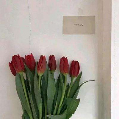 鲁班伟的亡者生活手游下载