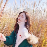 阴阳师妖怪屋亚服下载